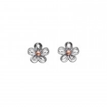 Hot Diamonds Forget Me Not Flower Earrings DE618 - Save over 30% off RRP