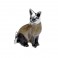 Saturno Silver Animals - Small Siamese Cat - Macintyres of Edinburgh