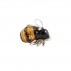 Saturno Silver Animals - Mini Bee 13098VS