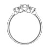 18ct White Gold Multi-cluster Diamond Ring - 0.31ct