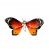 Saturno Silver Animals - Large Enamel Butterfly - Macintyres of Edinburgh